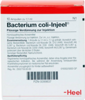 BACTERIUM COLI Injeel Ampullen