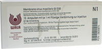 MEMBRANA sinus maxillaris GL D 30 Ampullen