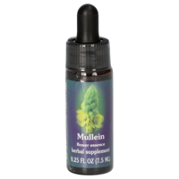 MULLEIN FES kalifornische Blütenessenz Tropfen