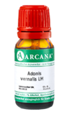 ADONIS VERNALIS LM 75 Dilution