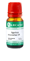 AGARICUS MUSCARIUS LM 17 Dilution