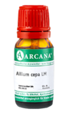 ALLIUM CEPA LM 15 Dilution