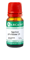 AGARICUS PHALLOIDES LM 30 Dilution