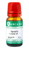 AGRAPHIS NUTANS LM 90 Dilution