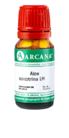 ALOE SOCOTRINA LM 1 Dilution