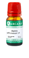 ALPINIA OFFICINARUM LM 11 Dilution