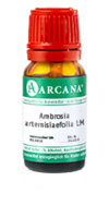 AMBROSIA ARTEMISIAEFOLIA LM 2 Dilution