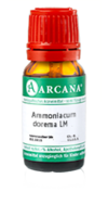 AMMONIACUM dorema LM 8 Dilution