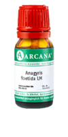 ANAGYRIS foetida LM 13 Dilution