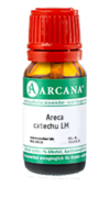 ARECA catechu LM 7 Dilution