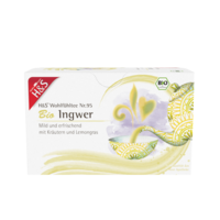 H&S Bio Ingwer Filterbeutel