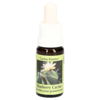 BLUE BERRY Cactus Essenz Tropfen