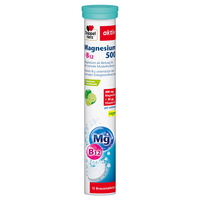 DOPPELHERZ Magnesium 500+B12 Brausetabletten